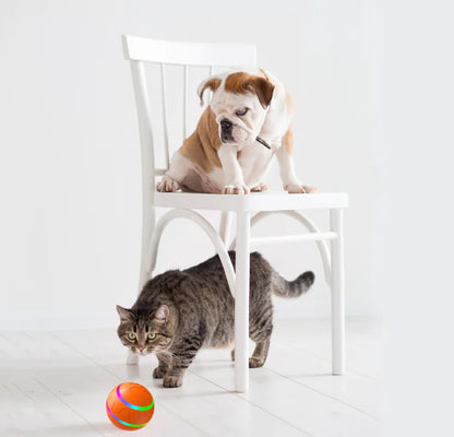 PawSpin Ball Pet Toy