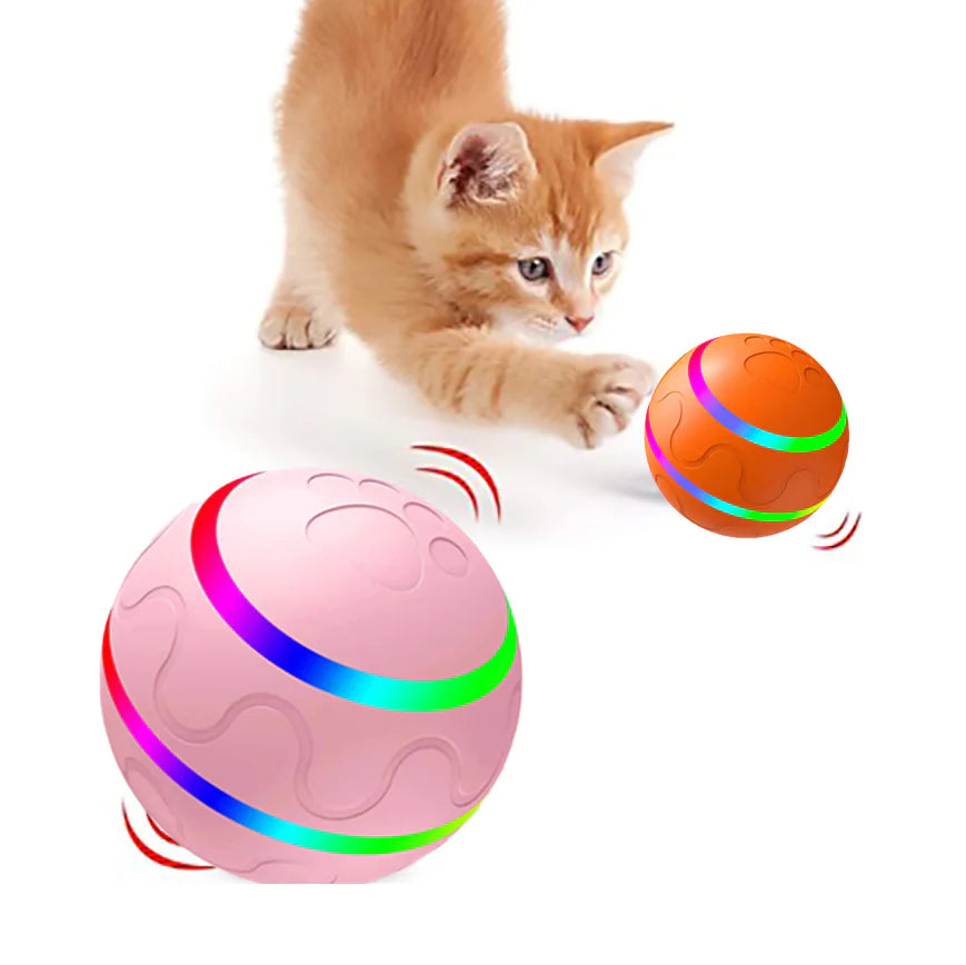 PawSpin Ball Pet Toy