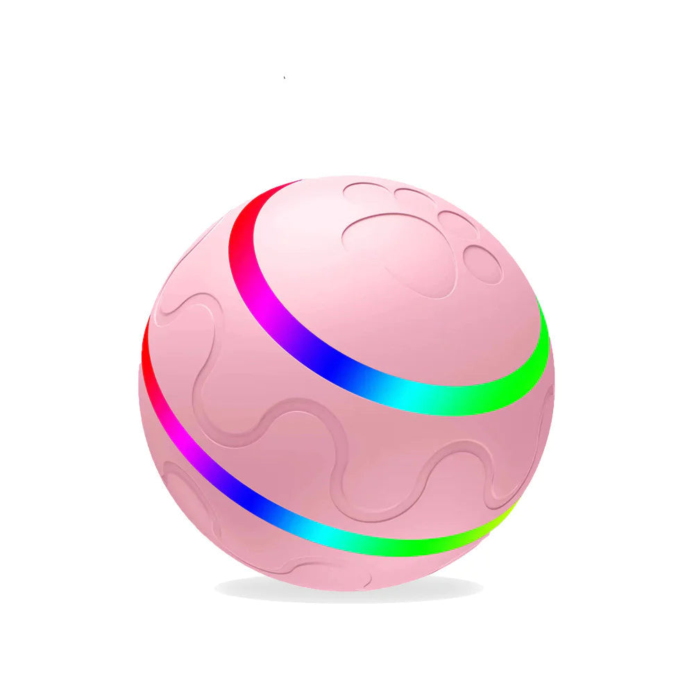 PawSpin Ball Pet Toy